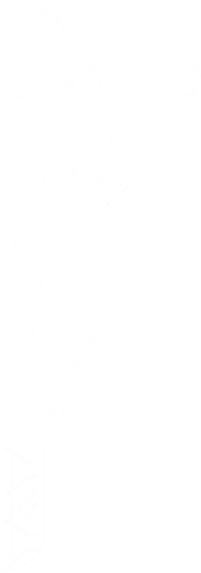 Verkauf und Service aller Zweiradmarken